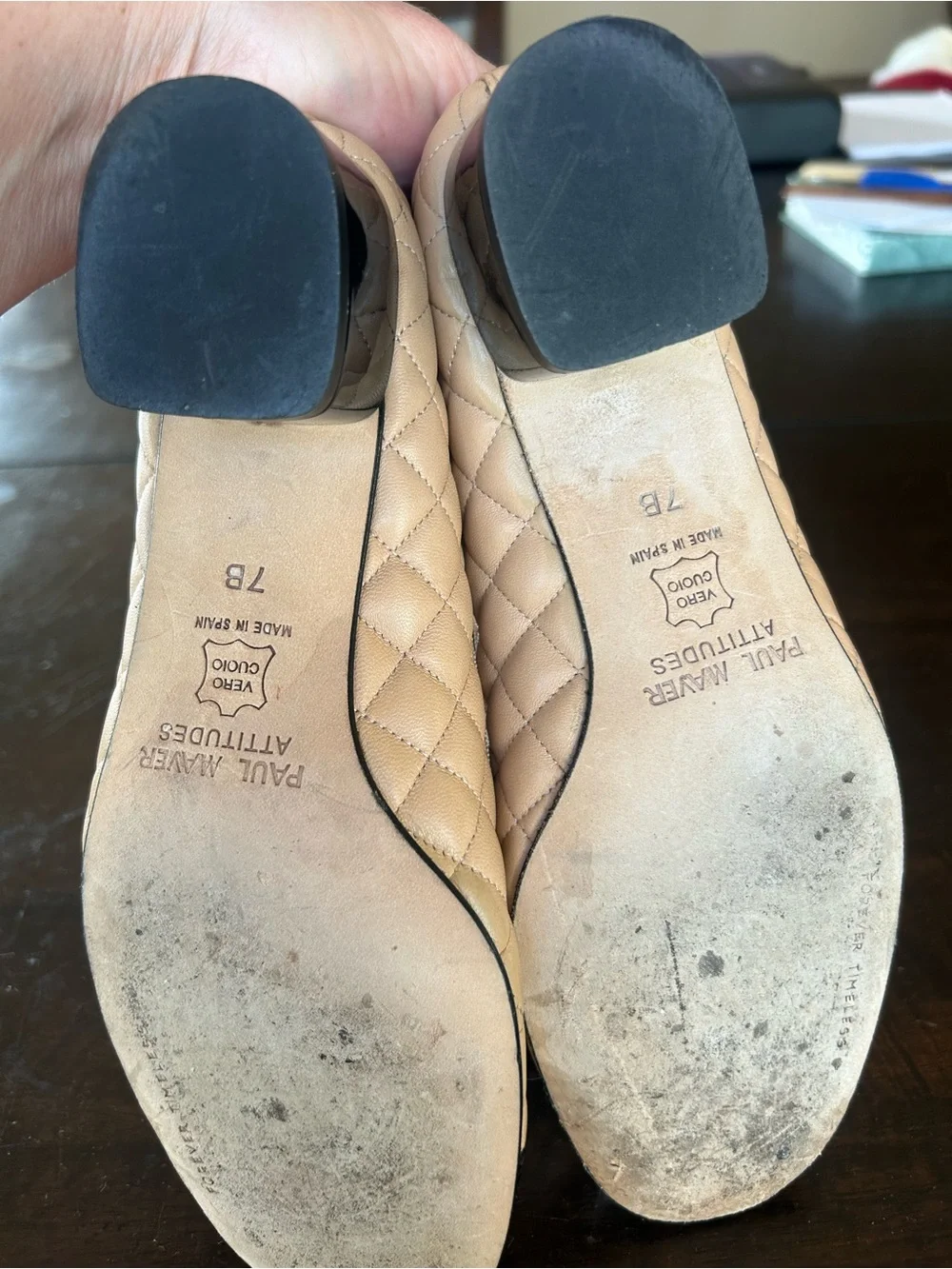 Paul Mayer attitudes ballet shoe